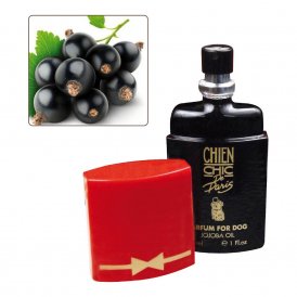 Parfume til kæledyr Chien Chic Hund Solbær (30 ml)