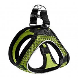 Hundsele Hunter Hilo-Comfort Lime Storlek M/L (58-63 cm)