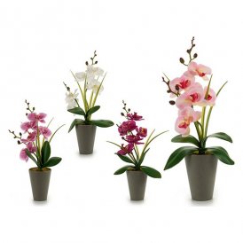 Dekorativ plante Orkide Plastik (8 x 35 x 14 cm)