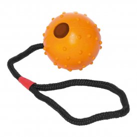 Gloria Hund Bidering Gloria Med streng Gummi (7 cm) (7 x 30 cm)