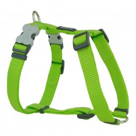 Hundesele rød Dingo Glat 25-39 cm Lime