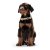 Hundehalsbånd Hunter Basic Alu-Strong Rød Størrelse L (45-65 cm)