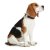 Hundehalsbånd Hunter Basic Alu-Strong Rød Størrelse L (45-65 cm)
