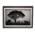 Låg Versa Safari Nedtæller Træ MDF (4,5 x 33 x 45 cm)