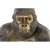 Dekorativ figur DKD Home Decor Harpiks Kolonistil Gorilla