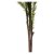 Dekorativ plante DKD Home Decor Rosmarin EVA (17 x 129 cm)