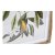 Maleri DKD Home Decor Bird 55 x 2,5 x 70 cm Tropisk Fugle (4 Dele)