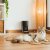 Cecotec Automatisk feeder Cecotec Pumba 6000 Purrfect Meal Smart Vision 6 L