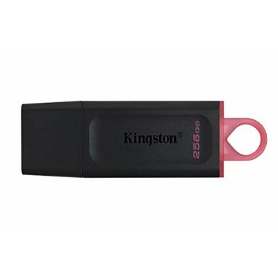 USB-stik Kingston DTX/256GB Nøglesnor Sort 256 GB