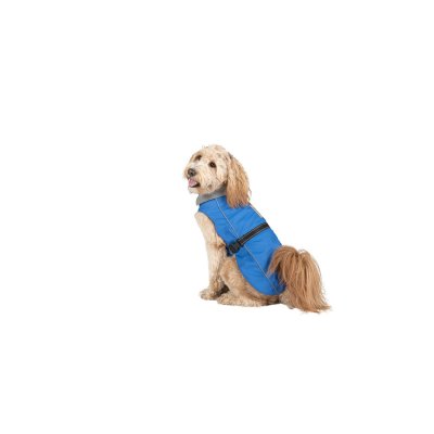 Dog Gone Smart Hund regnfrakke Dog Gone Smart Blå 55 cm
