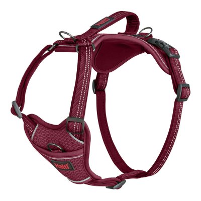 Company of Animals Hundesele Company of Animals Bourgogne XS 20-32 cm