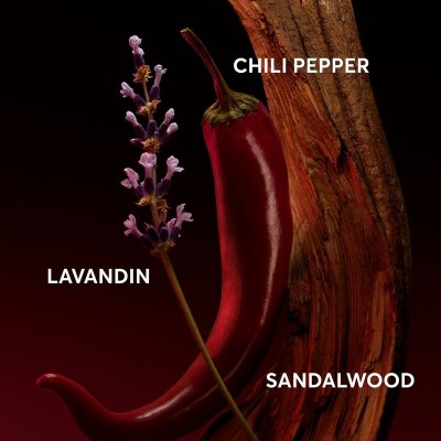 BOSS Herreparfume BOSS THE SCENT FOR HIM ELIXIR EDP 50 ml