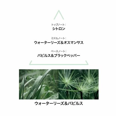 Le Couvent des Minimes Dameparfume Le Couvent des Minimes