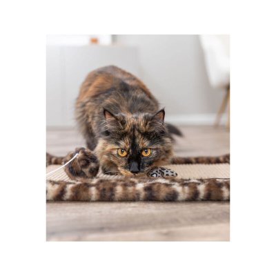 Trixie Kradsebrætter til katte Trixie Leo Brun Polyester Sisal EVA 55 x 35 cm Tæppe