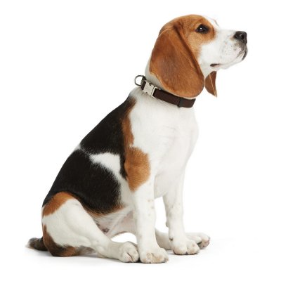 Hundehalsbånd Hunter Basic Alu-Strong Rød Størrelse L (45-65 cm)