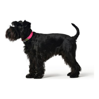 Hundehalsbånd Hunter Convenience rosa Størrelse M (38-46 cm)