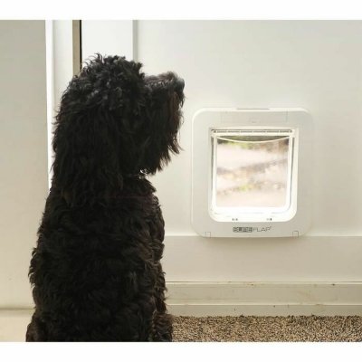 SureFlap Katteurt SureFlap SUR101 17,8 x 17 cm