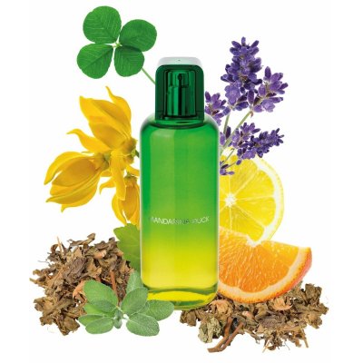 Mandarina Duck Herreparfume Mandarina Duck The Mandariners EDT 100 ml