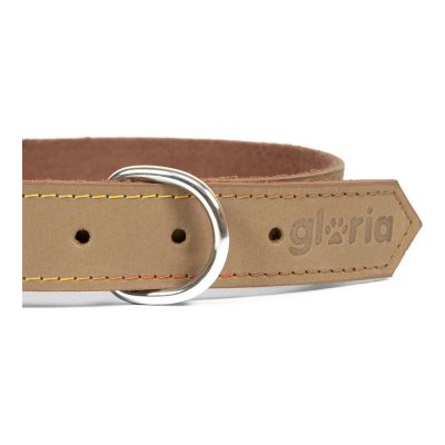 Gloria Hundehalsbånd Gloria Oasis Hvid (55 x 2,5 cm)