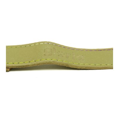 Hundebly Gloria Oasis 1.5 x 100 cm Grøn