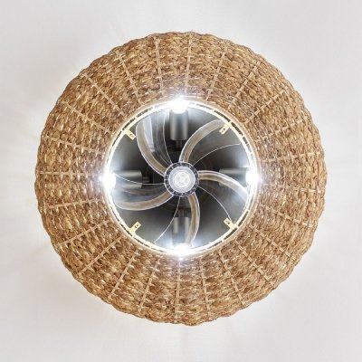 Cecotec Loftsventilator med lys Cecotec EnergySilence LampAero 650 20 W 70 W