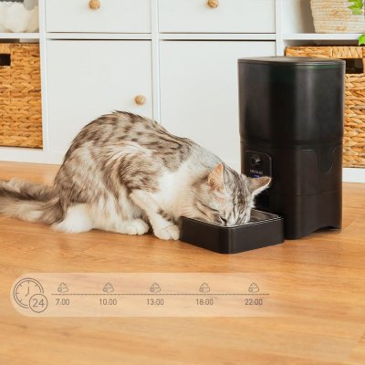 Cecotec Automatisk feeder Cecotec Pumba 6000 Purrfect Meal Smart Vision 6 L