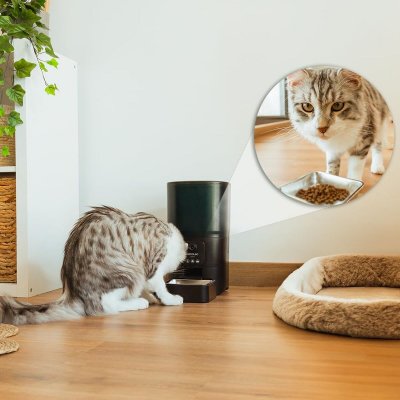 Cecotec Automatisk feeder Cecotec Pumba 6000 Purrfect Meal Smart Vision 6 L