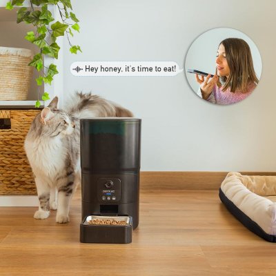 Cecotec Automatisk feeder Cecotec Pumba 6000 Purrfect Meal Smart Vision 6 L