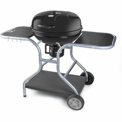Fieldmann Havegrill Transportabel Fieldmann FZG 1014 Metal Stål