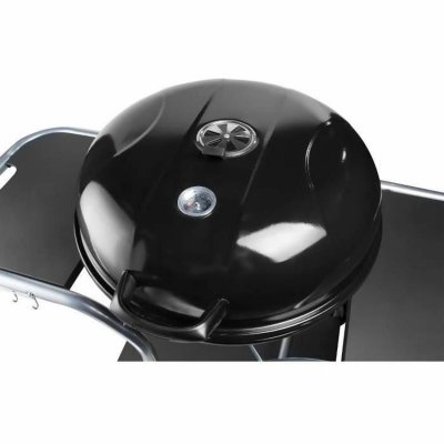 Fieldmann Havegrill Transportabel Fieldmann FZG 1014 Metal Stål