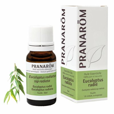 Pranarôm Vigtig olie Pranarôm 10 ml Eukalyptus